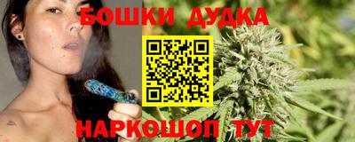 прущие грибы Лесосибирск