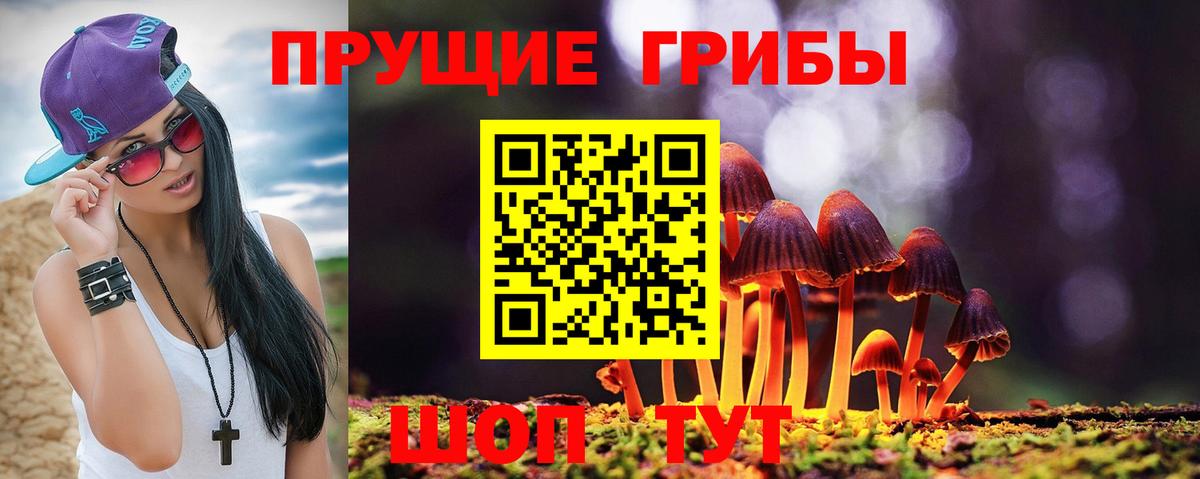Псилоцибиновые грибы мицелий Ирбит